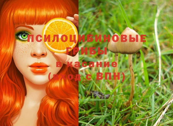 прущий лед Касимов
